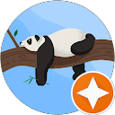 Shawn Wu profile picture